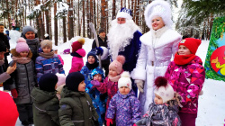 Новогоднее представление в городском парке